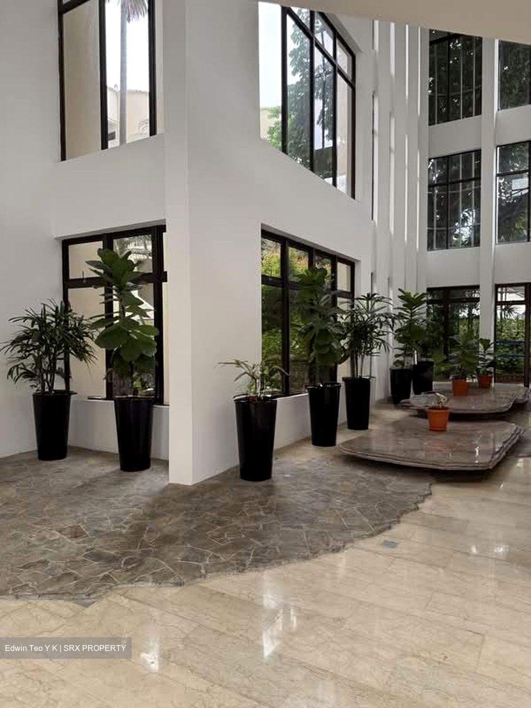 The Balmoral (D10), Condominium #604295741